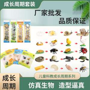 Yxs niños Montessori enseñanza SIDA simulación vida silvestre modelo Gallo tortuga ciclo <span class=keywords><strong>de</strong></span> crecimiento Juguetes - Product Image 2