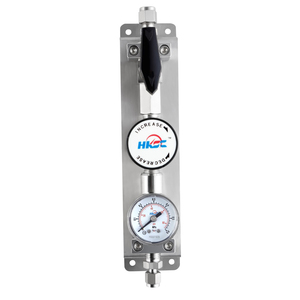 Régulateur de gaz haute pureté de style panneau HCSA00 pour un contrôle précis du trafic - Product Image 2
