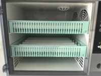 Nouvel Incubateur d'Œufs Mini Entièrement Automatique Capacité 50 Œufs avec Double Alimentation Design Élégant