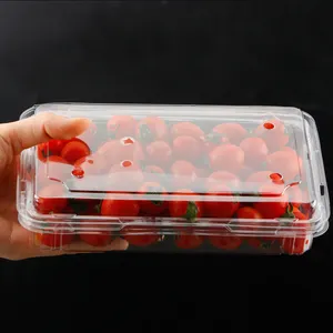 Plastic Doorzichtige Container Voor Huisdierfruit Van Hoge Kwaliteit