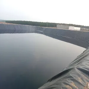 Chinese Gb Nationale Standaard Hoge Kwaliteit Hdpe Geomembrane Kostenprestaties Vis En Garnalen Vijver Liner