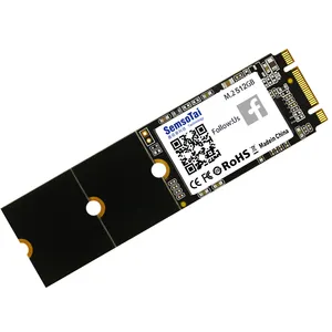 Professional Manufacturer 512GB Internal M.2 SSD Mini SSD DriveためNotebook