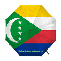 Parapluie pliant avec drapeau du Congo démocratique, ouverture et fermeture automatiques, parapluie compact portable, grand format pour la protection contre la pluie, résistant au vent