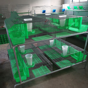 Cage de lapin pour l'élevage 16 simples de type européen avec fil galvanisé à chaud cage de lapin à double couche