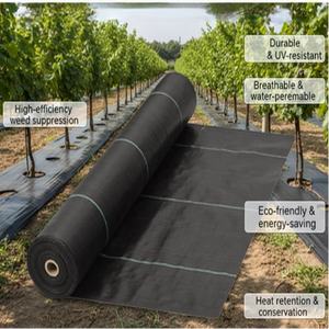 Toile <span class=keywords><strong>de</strong></span> paillage anti-UV stabilisée en plastique pour serres, agriculture, jardinage, contrôle des mauvaises herbes, tissu paysager en PP tissé, couverture <span class=keywords><strong>de</strong></span> sol - Product Image 2