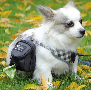 Accessoires d'entraînement pour animaux de compagnie, sacs à friandises pour chiens, distributeur de sacs à déjections, pochette à friandises pour chien pour les voyages en plein air - Product Image 3