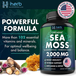 OEM/ODM Organic <b>Sea</b> <b>Moss</b> <b>Capsules</b> Vegan Irish <b>Sea</b> <b>Moss</b> Extract <b>Capsules</b> for Immune & Joint Health - Product Image 2