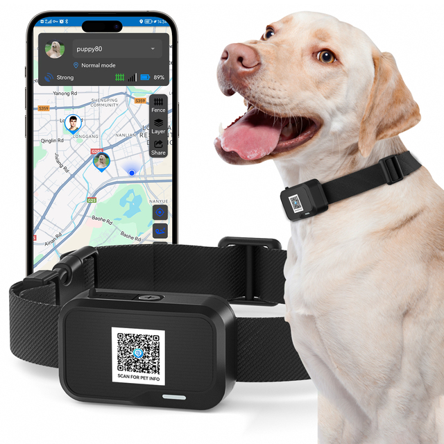 New Dog Tracker Collar with Anti-lost QR Pet Tag Real Time Tracking Smart APP GPS Dog Collar