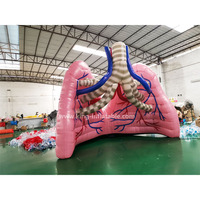 Organes humains de poumon gonflable adaptés aux besoins du client pour l'exposition médicale