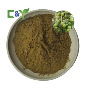 Puur Natuurlijke 10:1 Phyllanthus <span class=keywords><strong>Emblica</strong></span> <span class=keywords><strong>Extract</strong></span> Verse Amla Vruchten <span class=keywords><strong>Emblica</strong></span> <span class=keywords><strong>Officinalis</strong></span> <span class=keywords><strong>Extract</strong></span> 30% Polyfenolen Poeder - Product Image 2