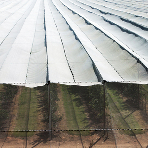 Film de <span class=keywords><strong>serre</strong></span> en plastique renforcé / Couverture de <span class=keywords><strong>serre</strong></span> en plastique / Feuille de <span class=keywords><strong>serre</strong></span> tissée <span class=keywords><strong>pour</strong></span> l'agriculture - Product Image 2