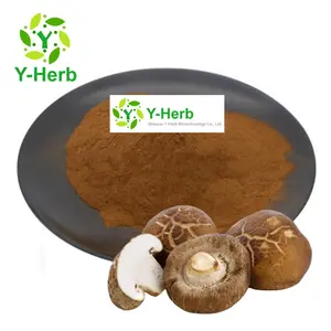 CAS 37339-90-5 Shiitake Extract Powder Polysaccharides Lentinan 10% 30% Shiitake Mushroom/Xiang Gu/Shiitake Extract