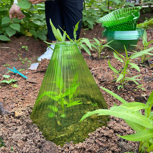 Cloche de jardin classique verte réutilisable en plastique transparent pour la protection des plantes en hiver, cloche pour fleurs et plantes - Product Image 4