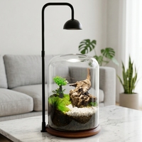 Kit Terrarium Plantes Paysage Personnalisé, Planteur, Plante à Air, Mousse, Globe, Vase Rectangle, Verre, Éclairage de Porte