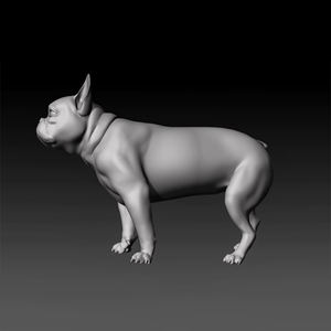 Benutzer definierte 3D-Druckfabrik Stl-Dateien 3D-Druckservice Benutzer definierter Hund Metall 3D-Druck 316l Edelstahl Aluminium Titan - Product Image 4