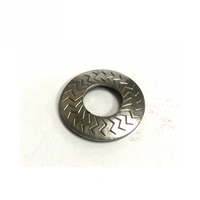 DIN6797 Stainless Steel SS304 Zinc Plated Serrated External Tooth Lock Washer