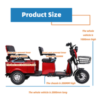 Tricycle Électrique à 3 Roues pour Passagers, Cadre en Acier, 3 Vitesses, Moteur Arrière, Fournisseur OEM/ODM pour l'Exportation Transfrontalière AFTFA