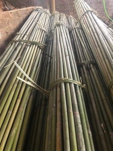 Piquets de jardin en bambou en gros – Supports durables en bambou pour vignobles et agriculture de tomates - Product Image 3