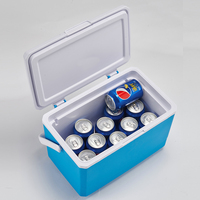 Glacière 9L en plastique glacière pour congélateur portable glacière pour la pêche en polystyrène avec logo cadeau petite glacière pour la pêche personnalisée