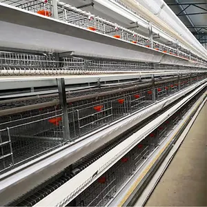 TBB Chinese Manufacturer Chicken Layer Cage Battery Laying Hen Equipment For Sale