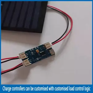 Kit de carga solar Micro Power 1W2W3W Small Power PV con módulo de carga de batería personalizado