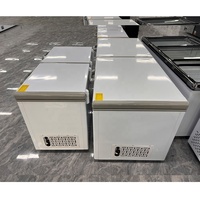 Équipement de supermarché commercial, congélateur horizontal à LED, capacité de 500 L, affichage des aliments congelés, poisson, contrôle numérique, dégivrage manuel
