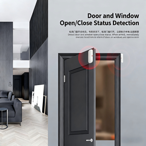 Détecteur intelligent de porte et fenêtre pour la maison connectée, capteurs de sécurité, intégration Alexa Google, automatisation, capteur magnétique de porte - Product Image 3