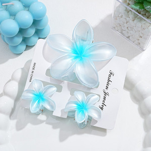 Nuovo arrivo 3 pezzi Set di artigli per capelli con fiore d'uovo colore sfumato per uso quotidiano alla moda o accessori per capelli da vacanza - Product Image 3