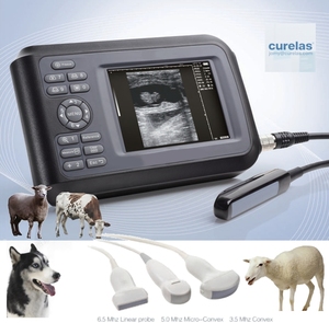 Attrezzatura terapeutica veterinaria macchina ad ultrasuoni digitale completa portatile per animali - Product Image 2