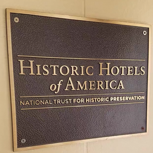 Insegna LED Tridimensionale in Rilievo, Targa in Bronzo Anticato Personalizzata, Placca per Porta di Villa, Insegna Retrò per Cartellone Pubblicitario - Product Image 1