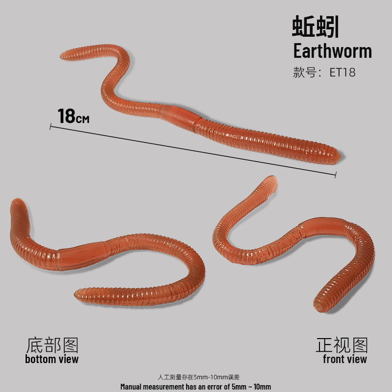 Brown long earthworm soft