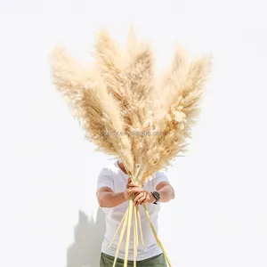 Beige Color Tall Pampasgrass Gras Dried Large Decor Grass Pampas Natural Blonde Plastic Bag Flower Wall Wedding Backdrop 80g