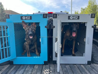 Tragbarer Hunde-Käfig aus Aluminiumlegierung, faltbare Haustier-Autotransportbox für Camping und Reisen, zusammenklappbares Tierhaus mit Knopfverschluss für kleine Tiere