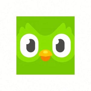 Cuenta Premium Duolingo Pro 1 Año, Activa Tu Propia Cuenta, Aplicable Globalmente en Todo el Mundo - Product Image 3