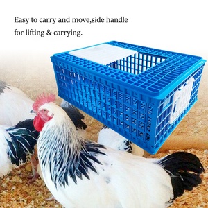Qa Nhựa Dày Stackable Gia Cầm Tàu Sân Bay Chim Cút Chick Chuyển Giỏ Hộp Gà Giao Hàng Thùng - Product Image 4