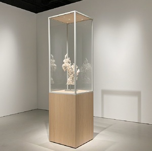 Vitrine <span class=keywords><strong>d</strong></span>'exposition de musée <span class=keywords><strong>moderne</strong></span> sur mesure, cadre en bois massif, vitrines en verre avec éclairage LED pour exposition <span class=keywords><strong>d</strong></span>'<span class=keywords><strong>art</strong></span> - Product Image 1
