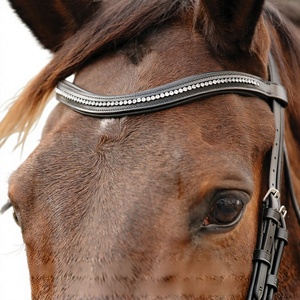 Bridon anglais avec têtière anatomique et muserolle de saut rembourrée en cuir souple, fait main, style anglais pour chevaux - Product Image 5