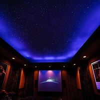 Kit de plafond étoilé à fibres optiques LED professionnel IP65, corps en plastique, étoiles scintillantes, blanc chaud, éclairage décoratif à intensité variable