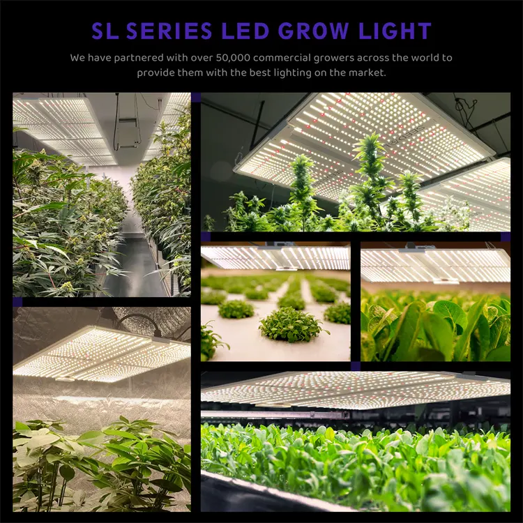 100W 150W 300W ışık büyümeye yol açtı tam spektrum çiçek bitki LED kurulu reflektör LED ışık paneli