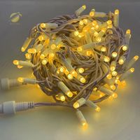 100LEDS Lampu Led Tali Karet Luar Ruangan IP67 Tahan Air Lampu Led Peri Berkedip dan Stabil Lampu Led Xmas Dapat Diganti
