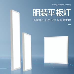 แผงไฟเพดาน LED บางเฉียบทันสมัยสำหรับห้องนั่งเล่น ห้องครัว บันได รับประกัน 5 ปี - Product Image 2