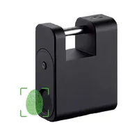 IP65 Smart Digital Biometrischer Finger abdruck Gepäcks chloss/Gepäcks chließfach