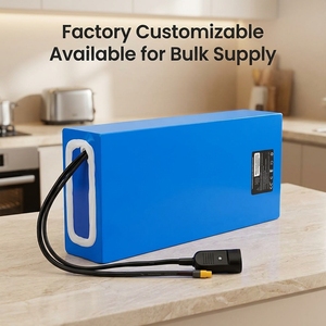<span class=keywords><strong>Batterie</strong></span> au lithium-ion, pack de batteries 12V 24V 36V 48V 60V 70V, vente en gros directe d'usine - Product Image 1