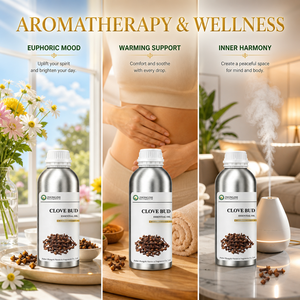Huile Essentielle de Clou de Girofle (Syzygium Aromaticum) pour l'Humeur Euphorique, Soutien Chauffant, Harmonie Intérieure, Bien-être - Vente en Gros - Product Image 1