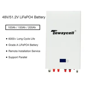 Tewaycell duvara monte Lifepo4 lityum pil alçak gerilim 48v 200ah 10kwh ev depolama aküsü kapalı ızgara için