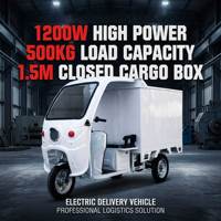 Tricycle fermé à essence Dongdao personnalisable de plus de 800 W pour la logistique rurale et la livraison de colis à domicile