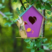 Kit de maisonnettes pour oiseaux en bois à décorer soi-même, vente en gros, artisanat, jouets en bois pour enfants