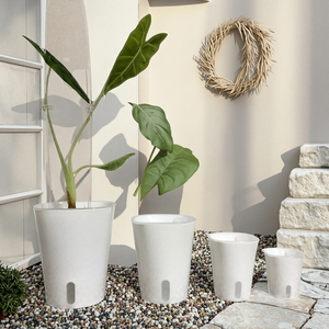 Pot Intérieur Transparent Auto-Arrosant en Plastique Écologique 12,5*15cm pour Plantes d'Intérieur – Blanc - Product Image 1