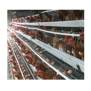 Poultry Farm Laying Hens Used Layer Battery Chicken Cage