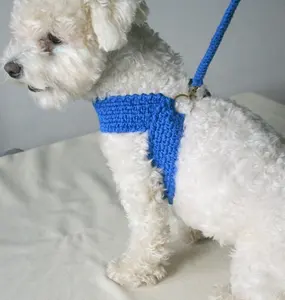 Amichevole Collare di Cane E Guinzaglio di Corrispondenza Crochet Cane Al Guinzaglio di Cuoio Cotone Cablaggio Dell'animale Domestico